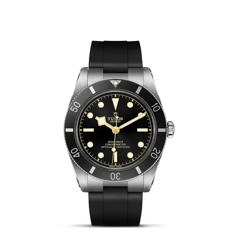 TUDOR Black Bay 54 M79000N-0002