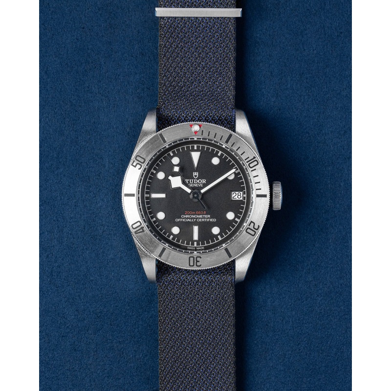 Tudor Black Bay 79730