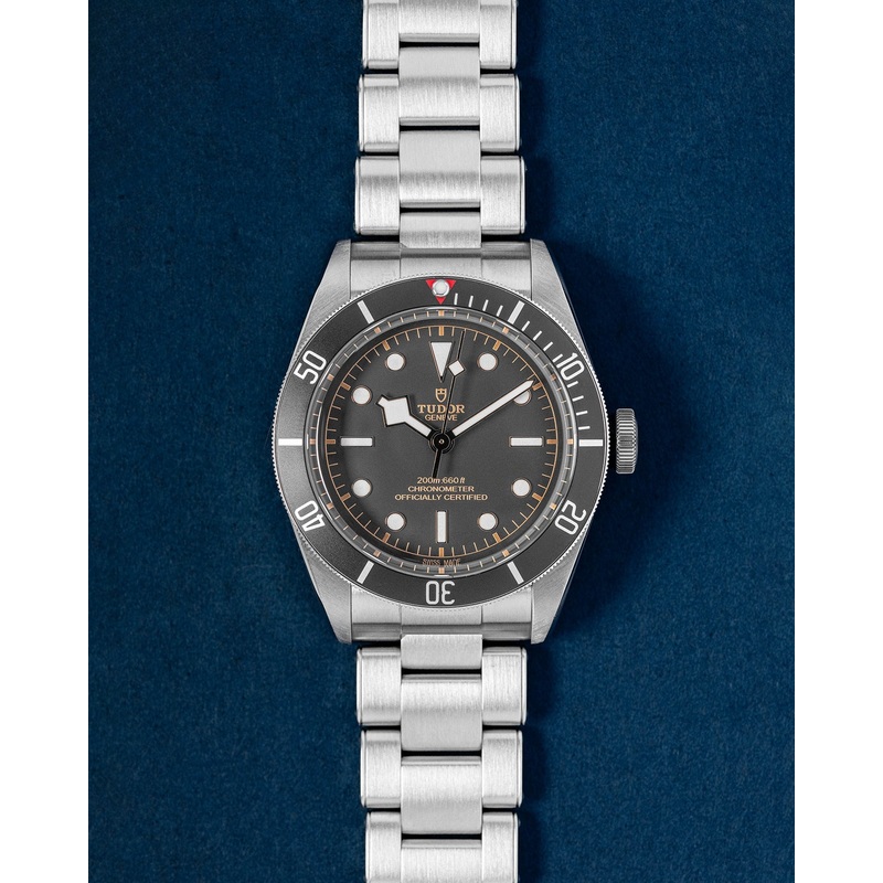 Tudor Black Bay 79230N