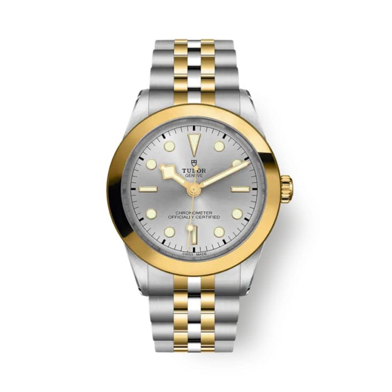 TUDOR Black Bay 39 S&G M79663-0002