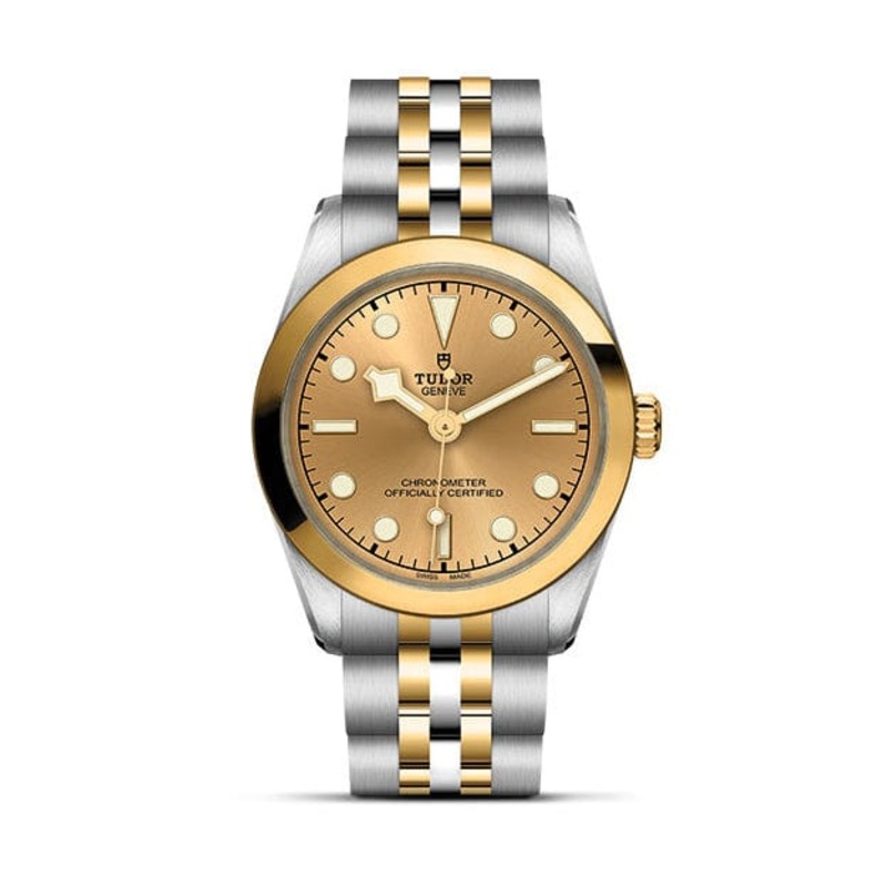 TUDOR Black Bay 31 S&G M79603-0005
