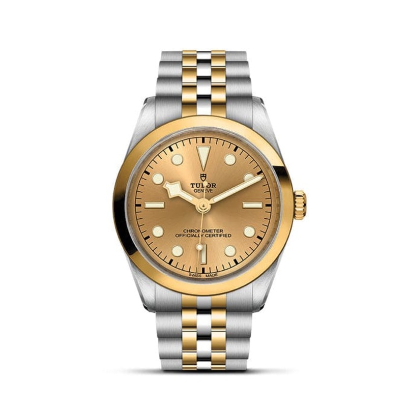 TUDOR Black Bay 36 S&G M79643-0005